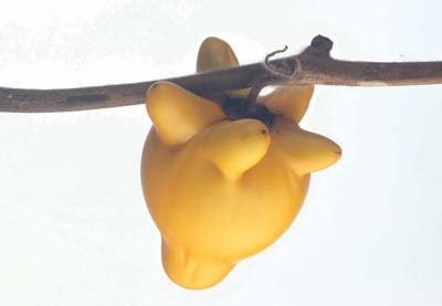 cl02025.jpg