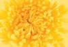 cl02028_small.jpg