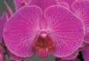 cl02032_small.jpg