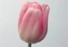 cl02037_small.jpg