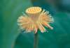 cl02045_small.jpg