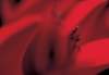 cl02051_small.jpg
