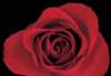 cl02052_small.jpg