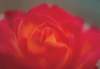 cl02053_small.jpg