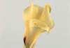 cl02058_small.jpg