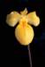 cl02084_small.jpg