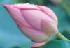 cl02087_small.jpg