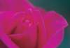 cl02090_small.jpg