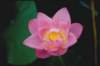 photo100_small.jpg