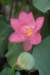 photo14_small.jpg