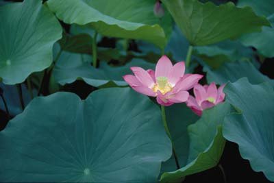 photo25.jpg