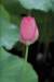 photo39_small.jpg