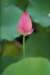 photo45_small.jpg