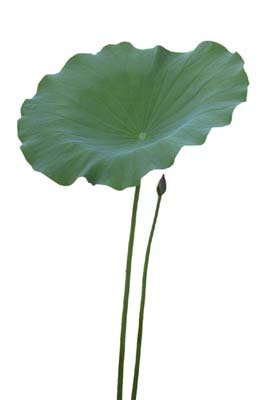 photo68.jpg