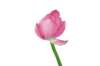 photo70_small.jpg