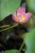 photo96_small.jpg