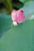 photo_small.jpg