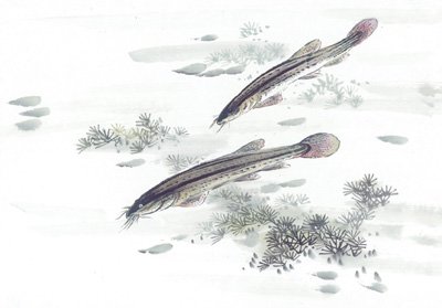 a033004.jpg