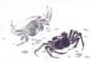 a033029_small.jpg