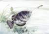 a033039_small.jpg