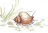 a033045_small.jpg