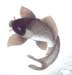 a033051_small.jpg