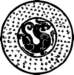 a042028_small.jpg