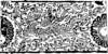 a042032_small.jpg