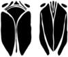 a042181_small.jpg