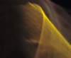 a086044_small.jpg