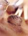 a103010_small.jpg