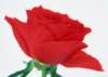 sj018_small.jpg