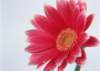 sj021_small.jpg
