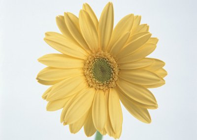 sj023.jpg