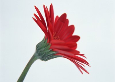 sj028.jpg