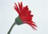sj028_small.jpg