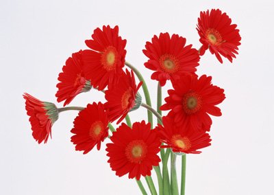 sj048.jpg