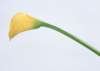sj050_small.jpg