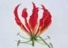sj051_small.jpg