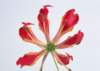 sj052_small.jpg