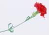 sj058_small.jpg