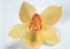 sj087_small.jpg