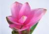sj099_small.jpg