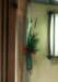 ay078_small.jpg
