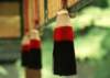 cr023_small.jpg