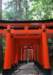 cr032_small.jpg