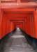 cr035_small.jpg