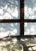 cr056_small.jpg