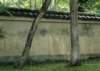 cr058_small.jpg