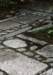 cr098_small.jpg